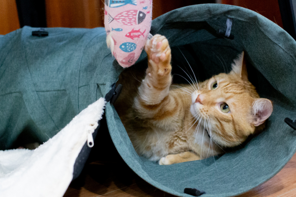 Spiel & Beschäftigung