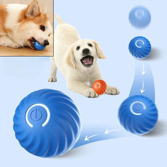 Automatisch springender & rollender Hunde-Spielball – USB-Ladung, interaktiv & bissfest