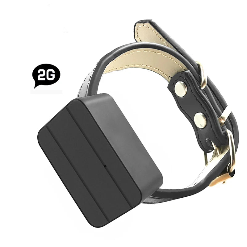 Mini GPS Tracker 4G