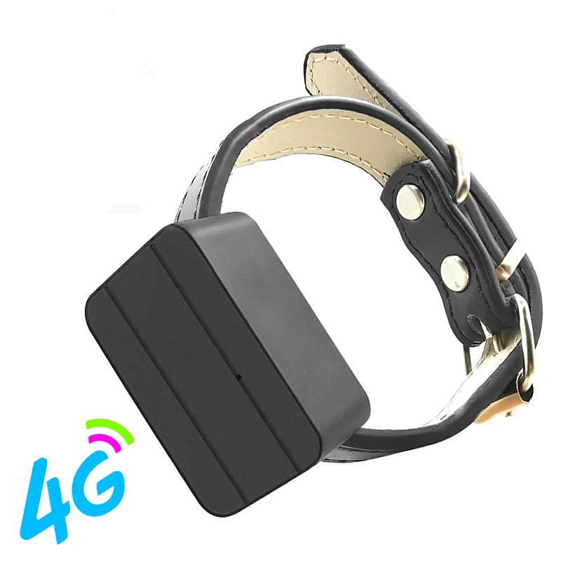 Mini GPS Tracker 4G