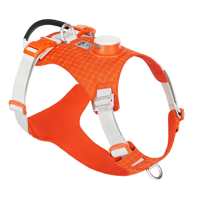 Truelove-Pet Harness with LED Light and Tracker