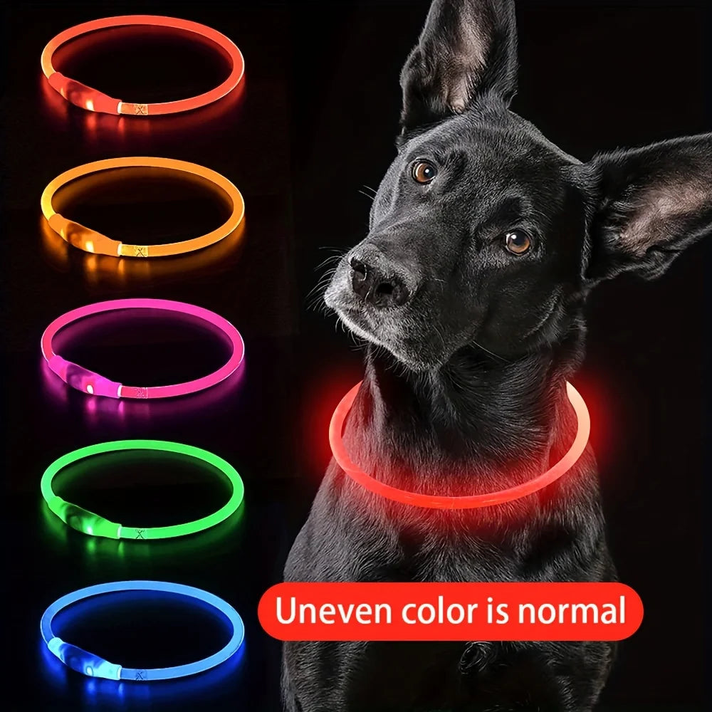 Leuchtendes LED-Hundehalsband