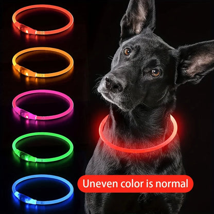 Leuchtendes LED-Hundehalsband