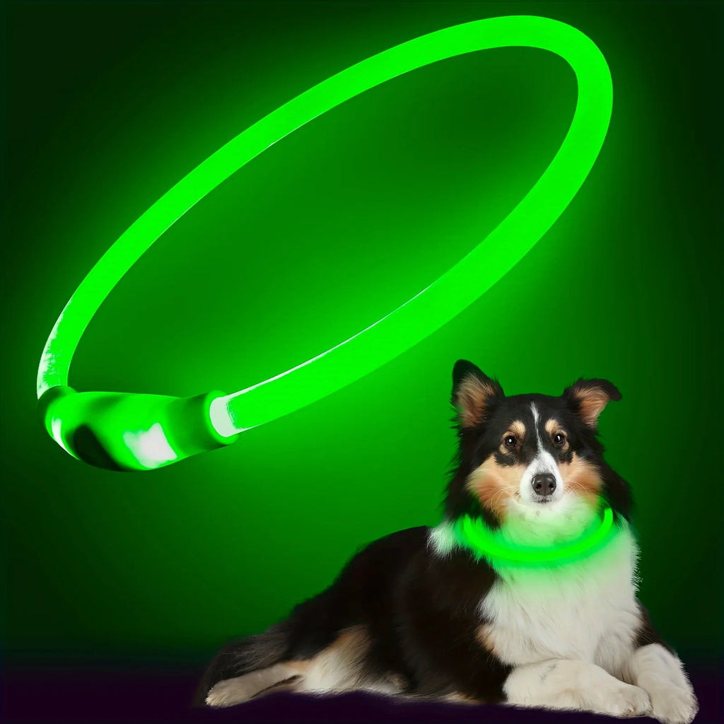Leuchtendes LED-Hundehalsband