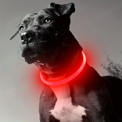 Leuchtendes LED-Hundehalsband