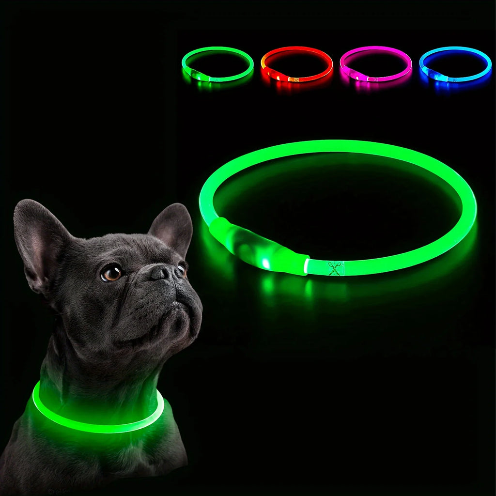 Leuchtendes LED-Hundehalsband