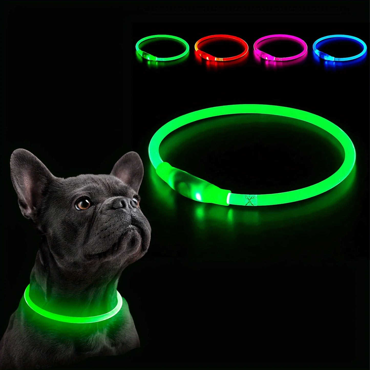 Leuchtendes LED-Hundehalsband