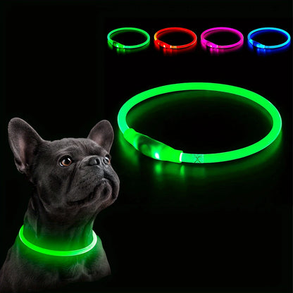 Leuchtendes LED-Hundehalsband
