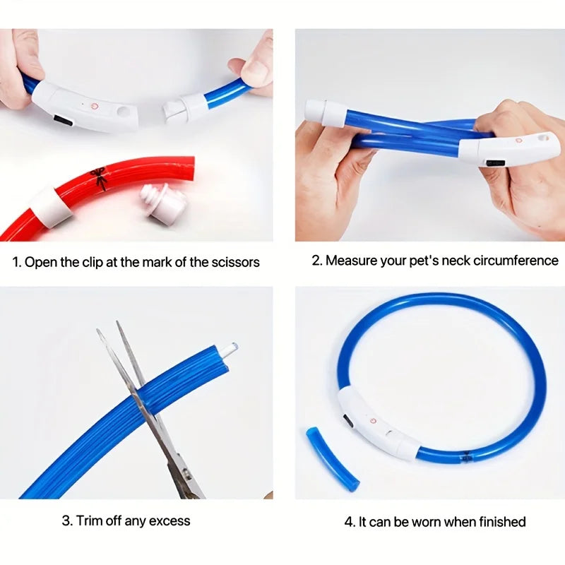Leuchtendes LED-Hundehalsband