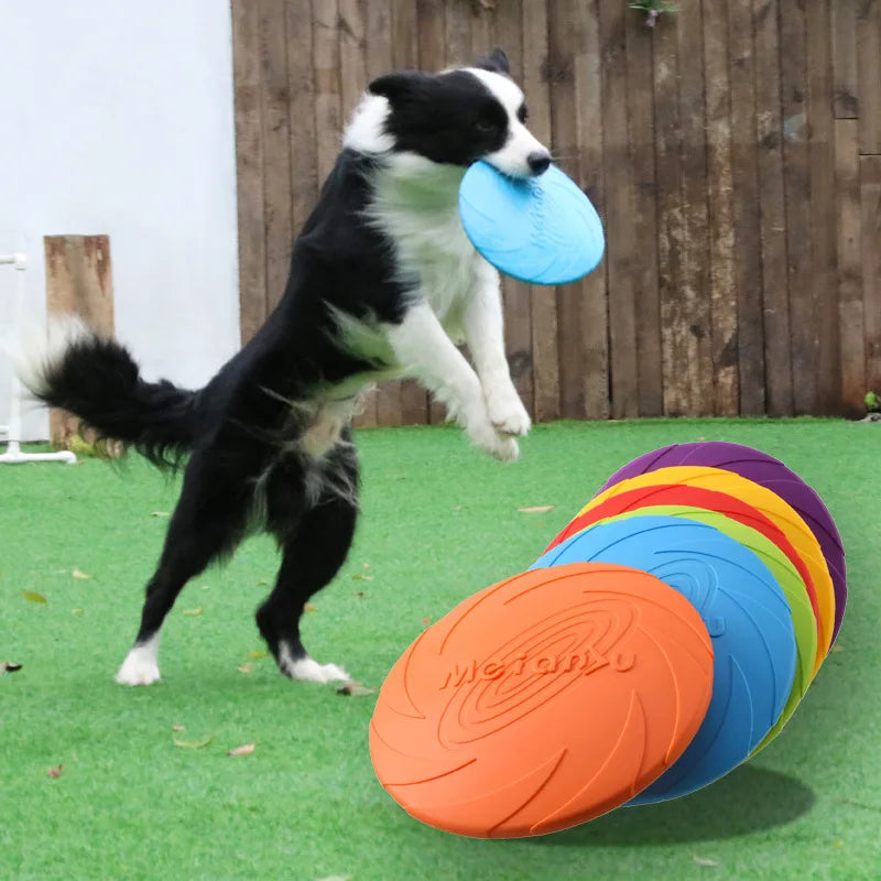Hundescheibe – Multifunktionales Wurfspielzeug für Training & Outdoor-Spaß