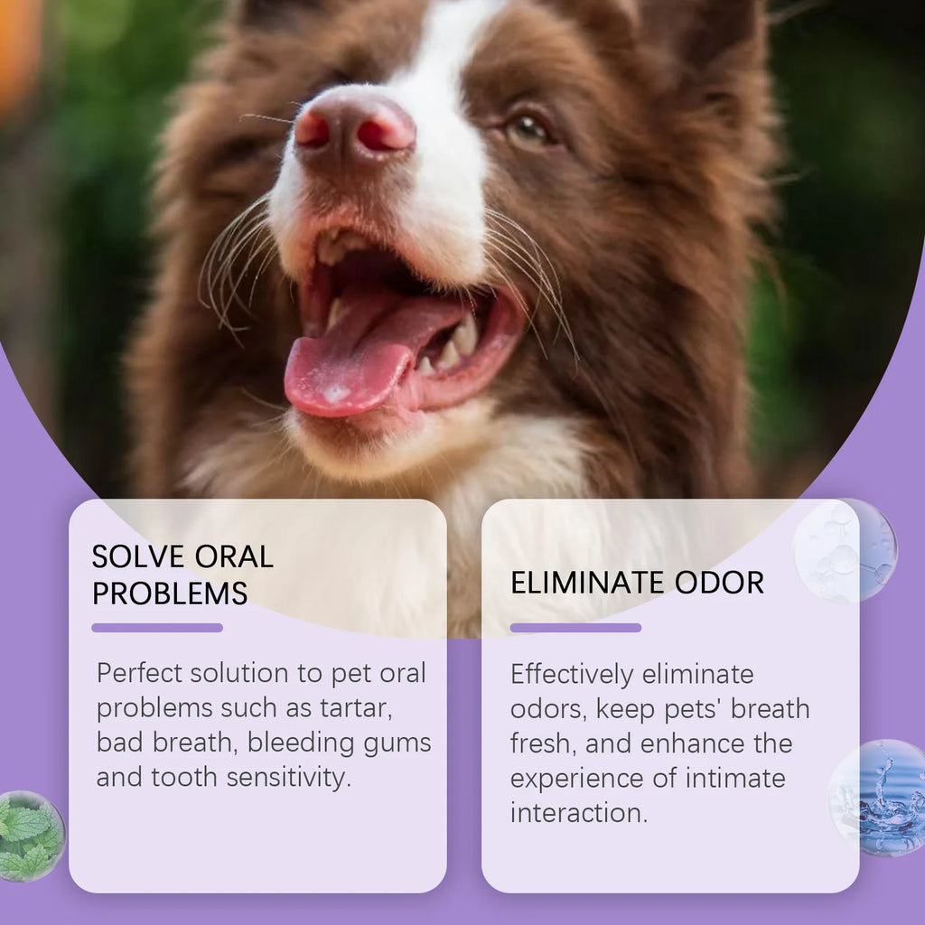Oralpflege-Spray für Hunde & Katzen – Frischer Atem & Zahnreinigung 50 ml